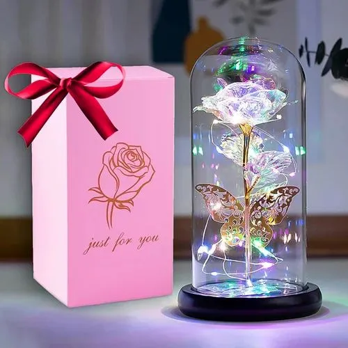 Rose Flower Gifts for Woman with Timer - Birthday, Anniversary...